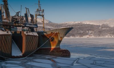 Clean Arctic Alliance calls for HFO ban