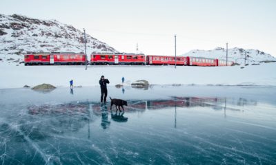 Trains make transalpine shipping so much more sustainable. Image: Pexels