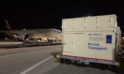 Champion horses check-in to experience Emirates Equine