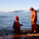 Seafarers used as patsies by governments