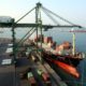 V.O.Chidambaranar Port Trust created new records in single day handling and handling a vessel with highest parcel size