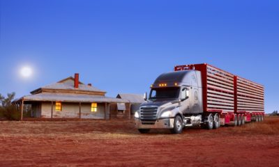American truck for down-under: Daimler is bringing the new Freightliner Cascadia to Australia & New Zealand