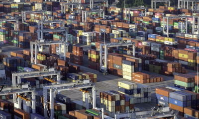 Savannah continues to build container volumes 