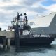 Wave of the Future: Port welcomes new Brusco tug