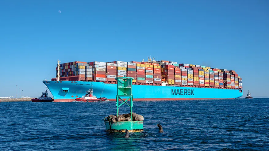 Maersk ready to confront supply chain challenges and propose solutions. Image: Maersk