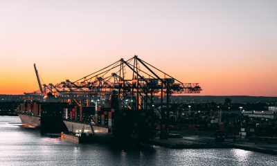 Major investment in port equipment in the Humber ports. Image: Pexels