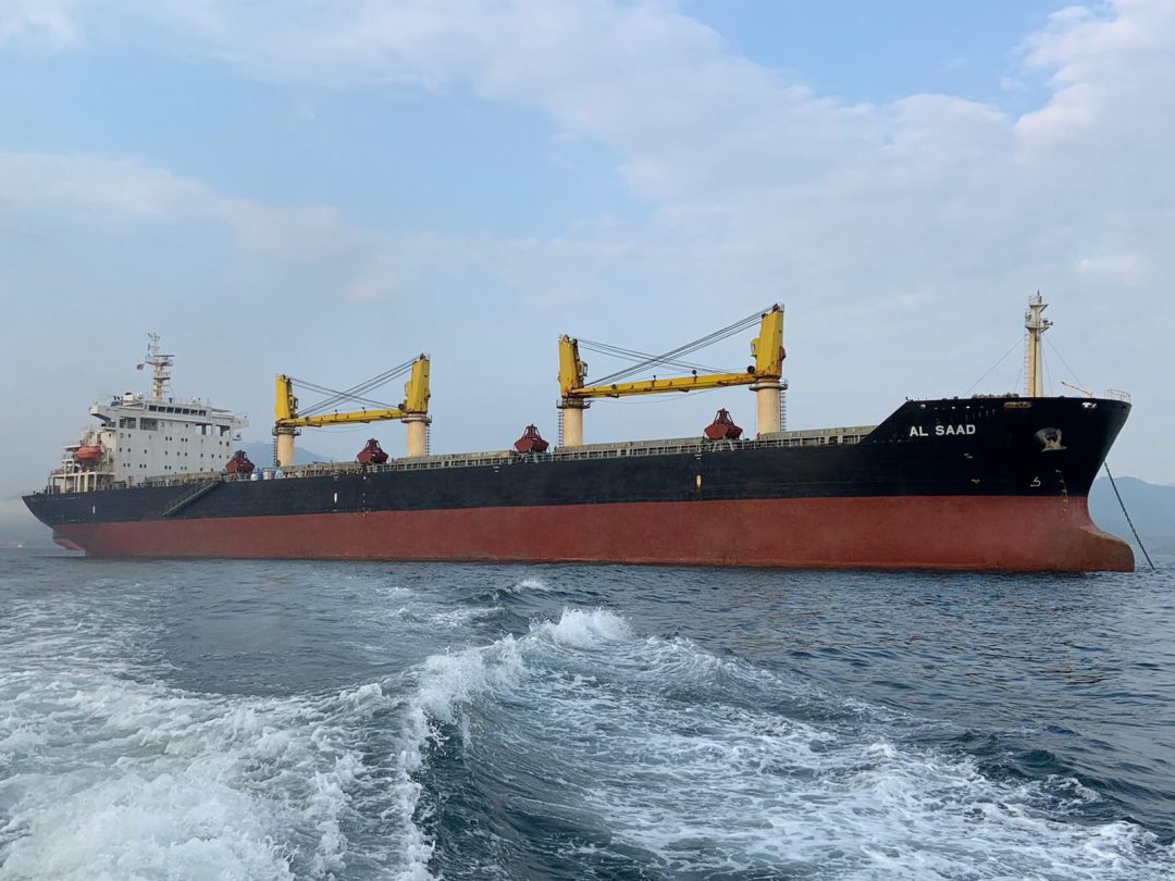 SAFEEN Feeders announced acquisition of two Supramax vessels. Image: AD Ports