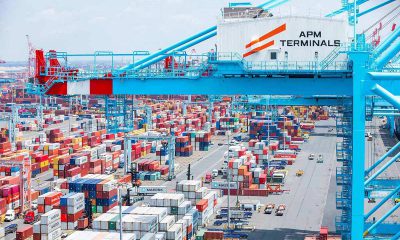 APM Terminals introduces new organisational structure to further its strategic growth. Image: APM Terminals