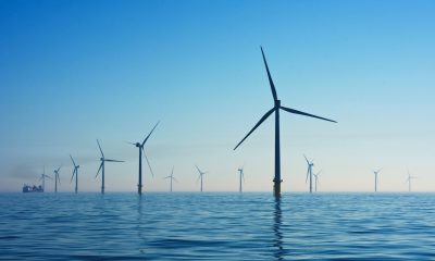 TotalEnergies' first power generation from Scotland's offshore wind farm. Image: Unsplash
